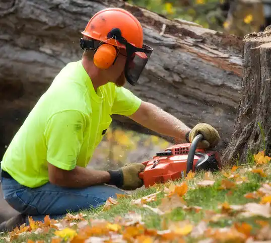 tree services Sugar Creek